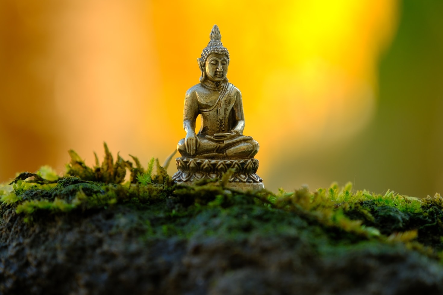 Embracing Courage: A Journey to Self-Discovery