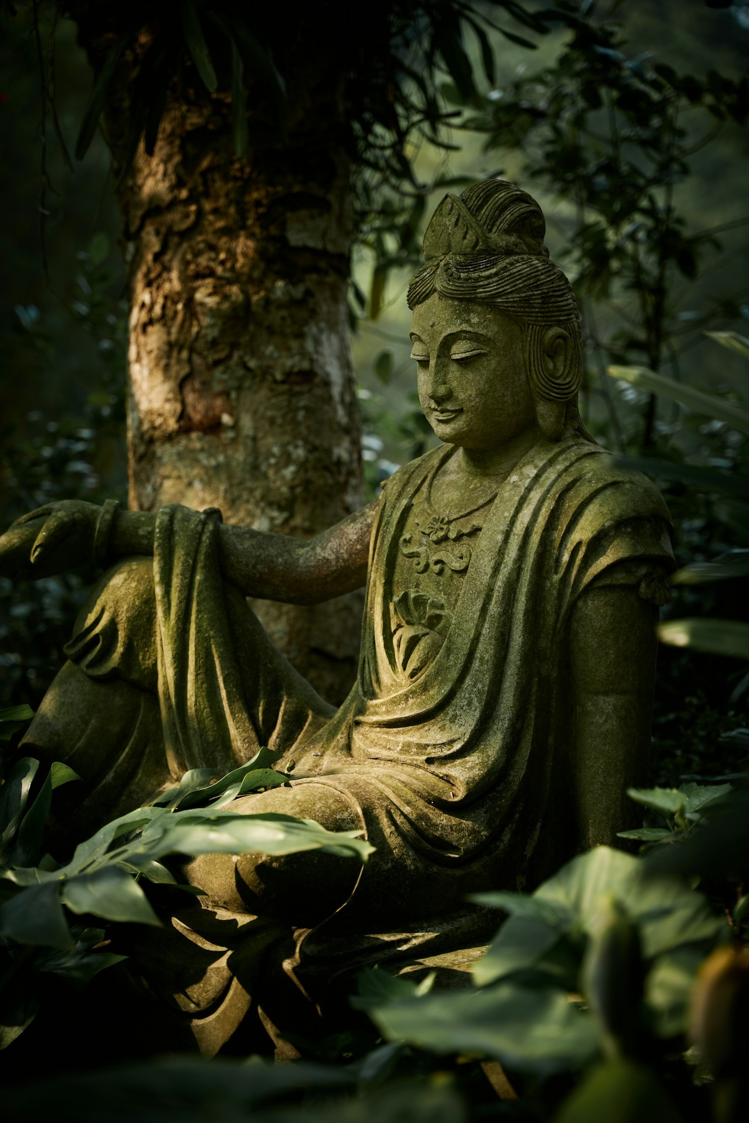 Divine Wisdom: Finding Answers Within Yourself